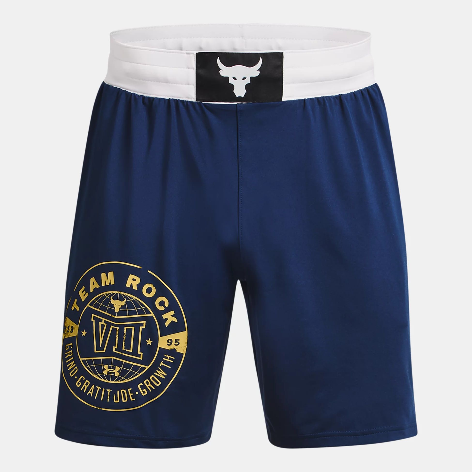 Clothing -  under armour Project Rock Boxing Shorts
